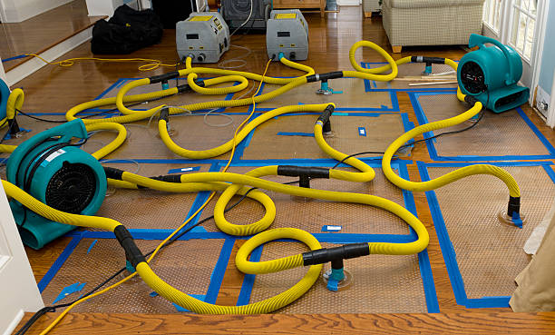 Professional Water Damage Restoration technician working in Williston, SC